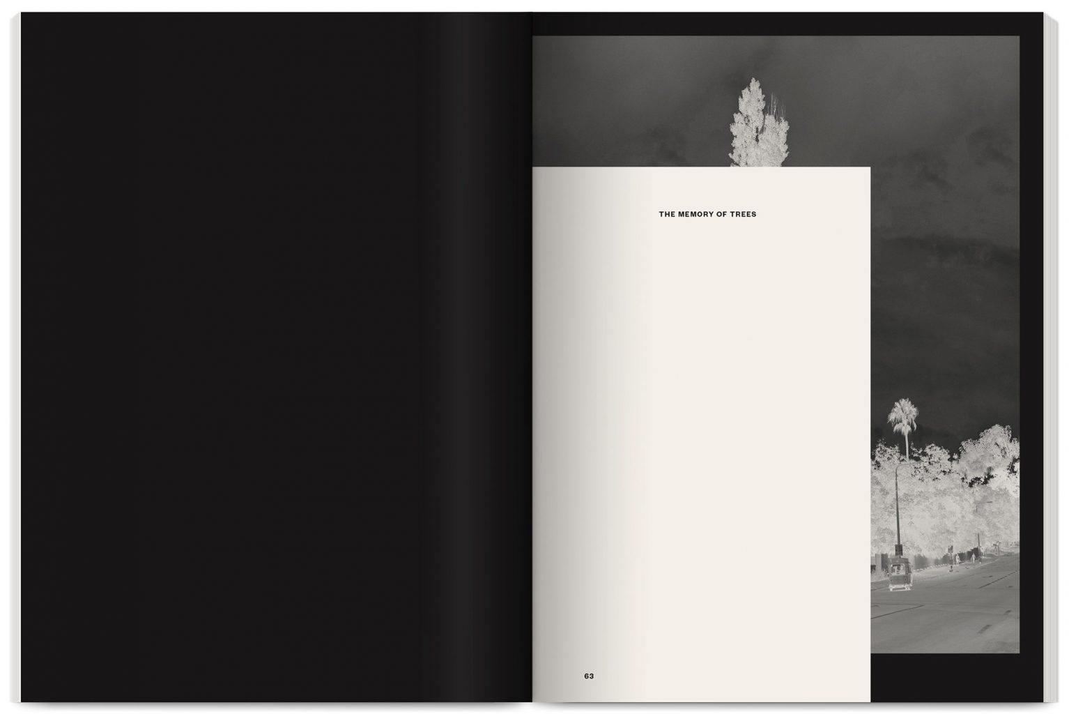 Publication Theatrum Botanicum edited by Uriel Orlow, Shela Sheikh, published by Sternberg Press, with The Showroom Gallery, designed by In the shade of a tree studio, founded by Sophie Demay and Maël Fournier Comte.
