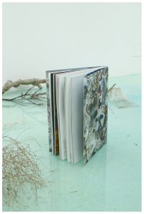 Monograph of artist Laure Prouvost’s work, Deep See Blue Surrounding you / Vois ce bleu profond, published by Flammarion, with The Institute Français, designed by In the shade of a tree studio, founded by Sophie Demay and Maël Fournier Comte.