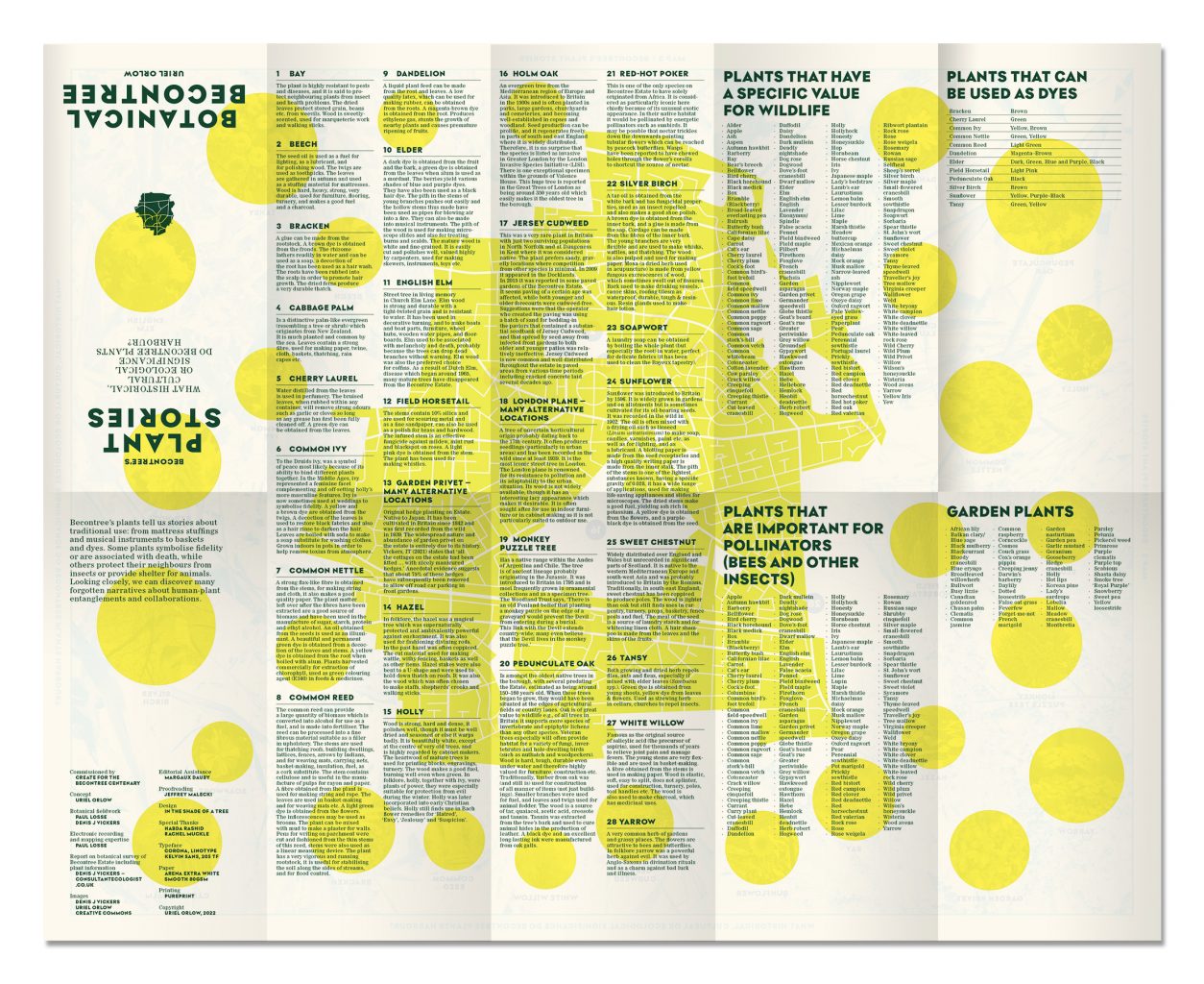 Folded and unfolded posters of Botanical Becontree, green and yellow, a survey lead by Uriel Orlow