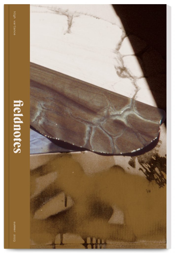 Fieldnotes 5 – high variance – design In the shade of a tree