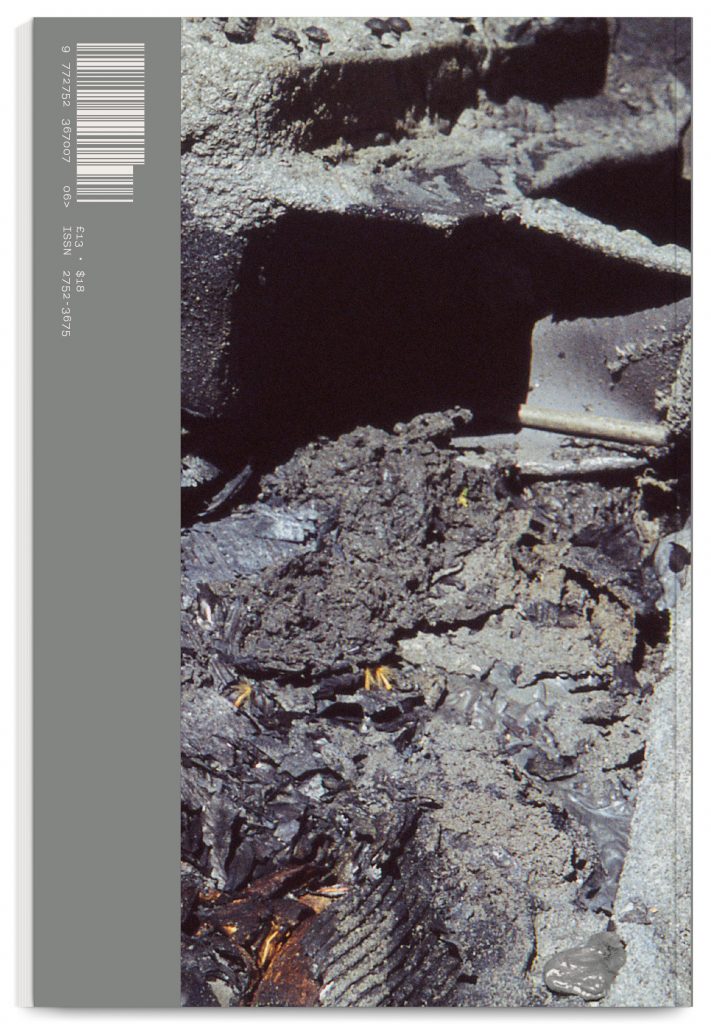Fieldnotes 6 – the destructive method – spring 2024 – design In the shade of a tree