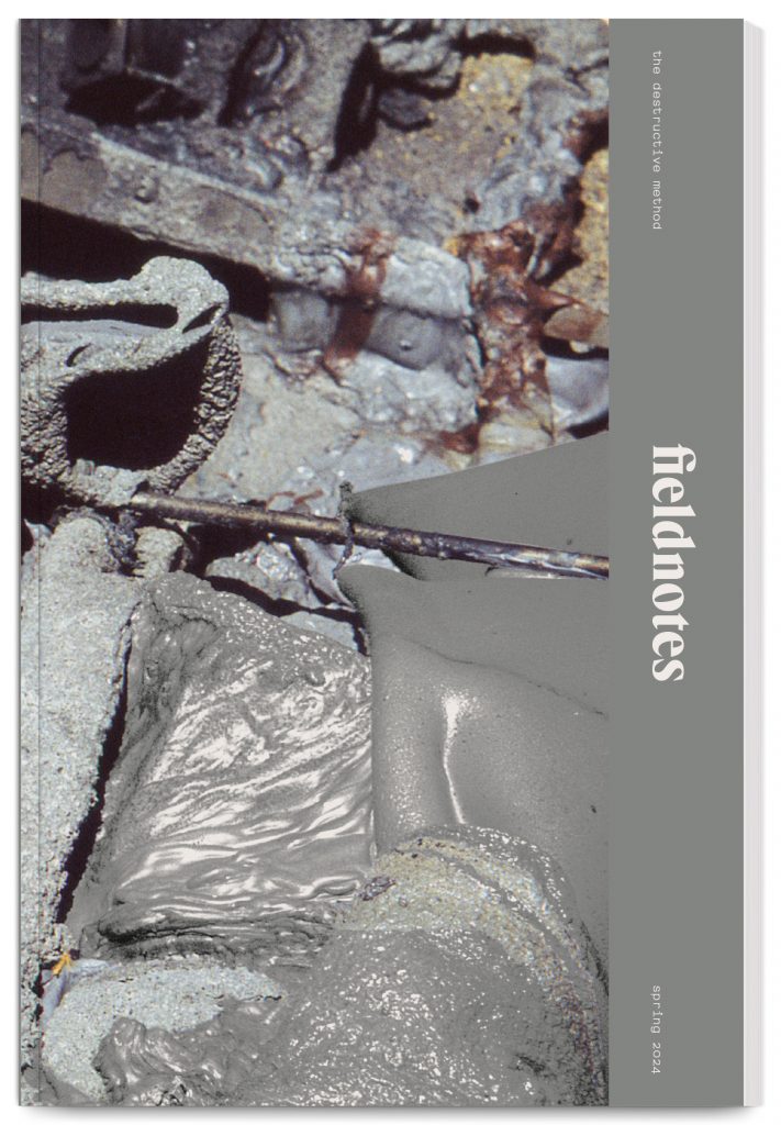 Fieldnotes 6 – the destructive method – spring 2024 – design In the shade of a tree