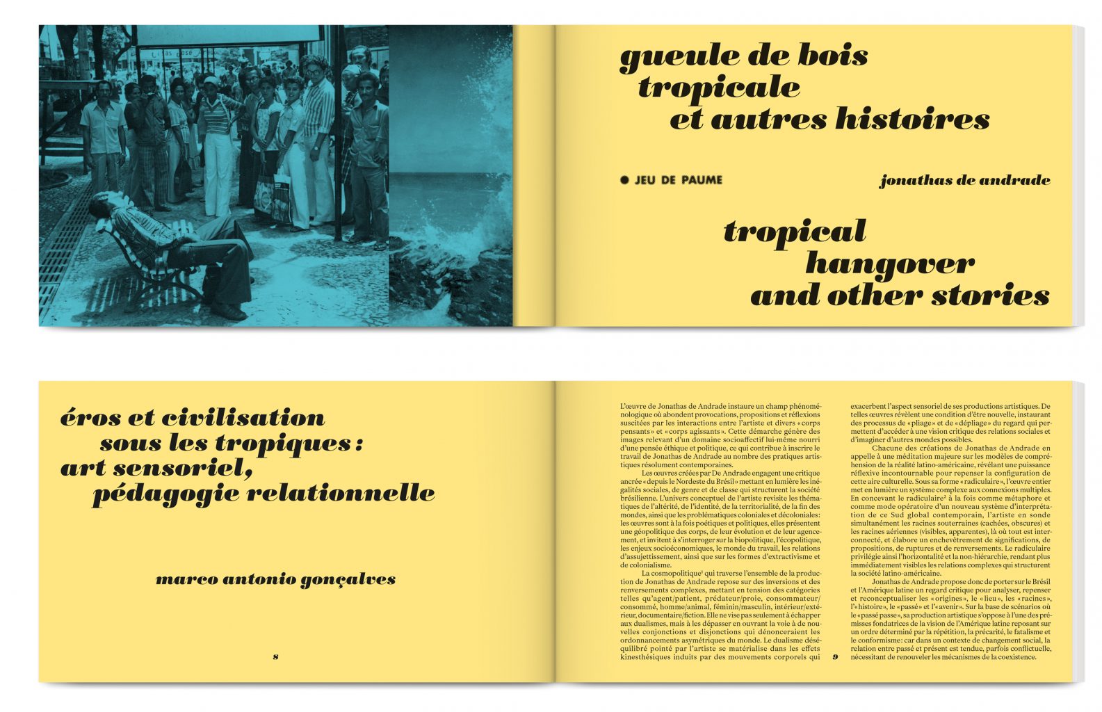 Gueule de bois tropicale et autres histoires