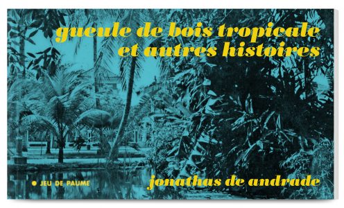 Gueule de bois tropicale et autres histoires